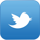 Twitter Social Media in Delhi